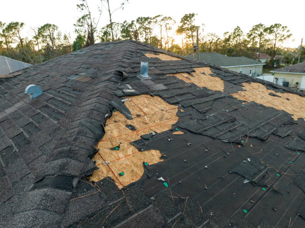 Best Emergency Roof Repair  in Arvin, CA