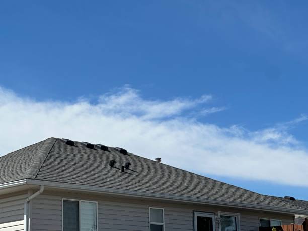Best Asphalt Shingle Roofing  in Arvin, CA